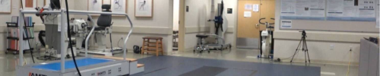 A lab with a large walking pad